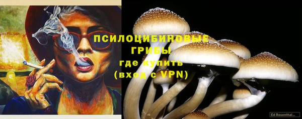 каннабис Осташков
