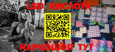 прущие грибы Тулун