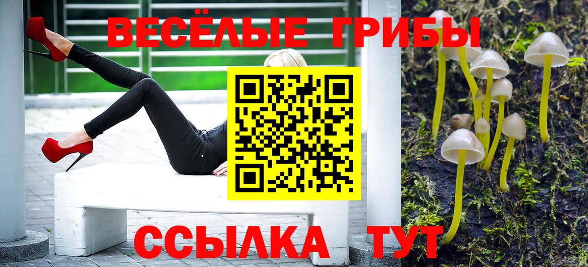 Псилоцибиновые грибы Magic Shrooms Туапсе