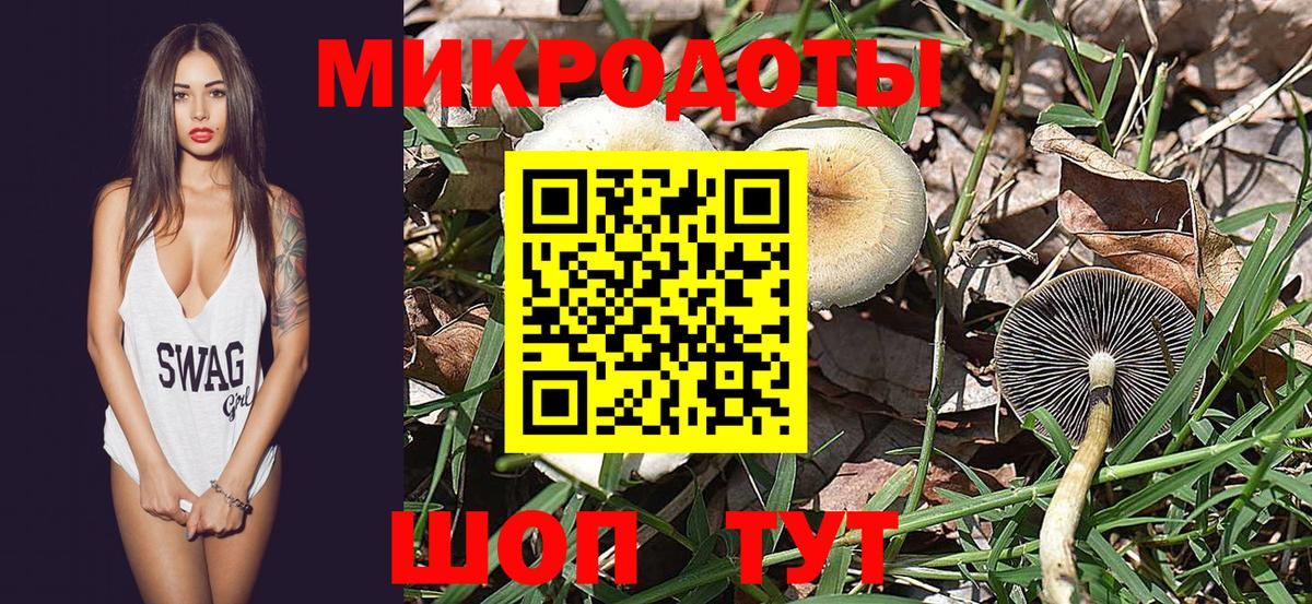 Туапсе  Псилоцибиновые грибы GOLDEN TEACHER  купить наркоту  Вход с VPN 